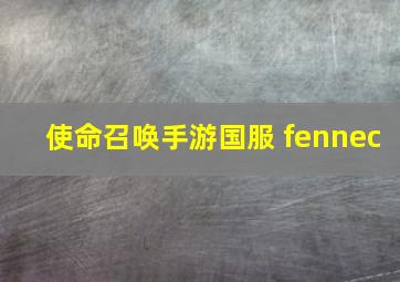 使命召唤手游国服 fennec